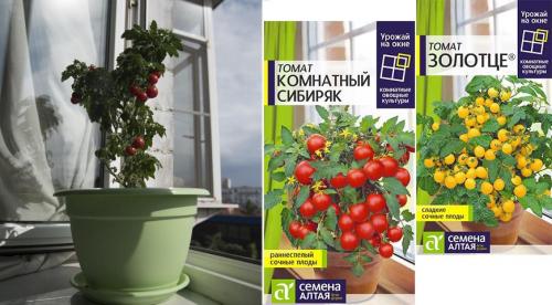 Контейнерный огород в квартире. Секрет успешного огорода на подоконнике от профессионалов 02