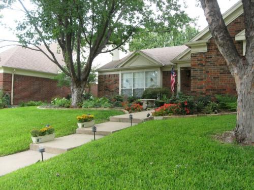 Какие деревья можно сажать дома. Деревья возле дома — виды которые можно и нельзя сажать. 100 фото лучших вариантов для посадки