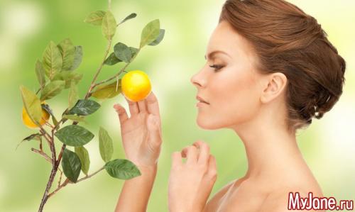 Комнатные фруктовые деревья. Фруктовое дерево на подоконнике