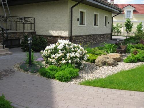 Какие деревья можно сажать дома. Деревья возле дома — виды которые можно и нельзя сажать. 100 фото лучших вариантов для посадки