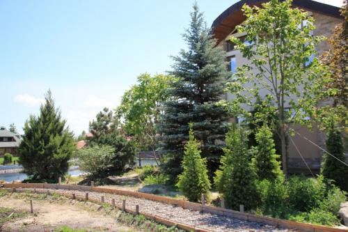 Какие деревья можно сажать дома. Деревья возле дома — виды которые можно и нельзя сажать. 100 фото лучших вариантов для посадки