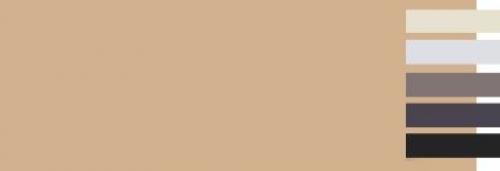 Какой цвет сочетается с бежевым и коричневым. С какими цветами сочетается бежевый?