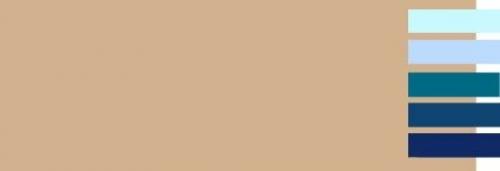 Какой цвет сочетается с бежевым и коричневым. С какими цветами сочетается бежевый?