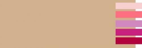 Какой цвет сочетается с бежевым и коричневым. С какими цветами сочетается бежевый?