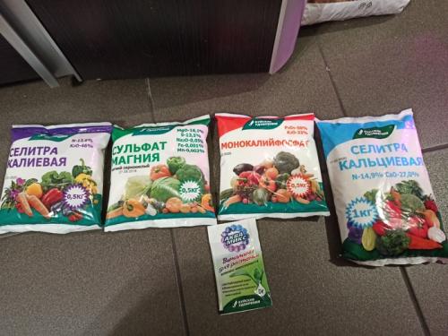 Как защитить огород от вредителей и болезней