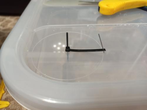 Как защитить огород от вредителей и болезней