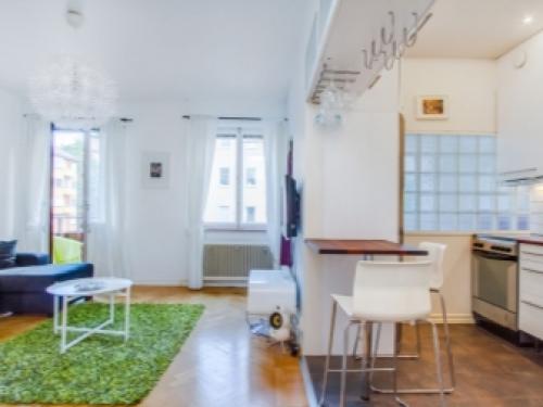 Дизайн интерьера однокомнатной квартиры.. Нестареющая классика 01