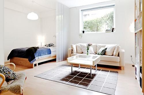 8 удачных способов зонирования в однушке. Зонирование однокомнатной квартиры (однушки и студии): классные примеры разделения комнаты на две зоны, спальню и гостиную 26