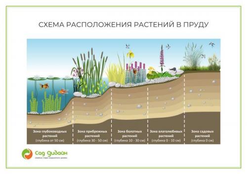 Разделение огорода на зоны: основные принципы и подходы 02 Разделение огорода на зоны: основные принципы и подходы 02