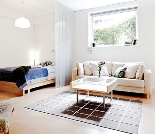 Использование перегородок в однокомнатной квартире. Преимущества и недостатки зонирования