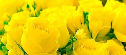 Желтый цвет в интерьере. Сочетание желтого цвета с другими цветами в интерьере 22