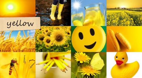 Желтый цвет в интерьере. Сочетание желтого цвета с другими цветами в интерьере 23