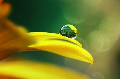 Желтый цвет в интерьере. Сочетание желтого цвета с другими цветами в интерьере 24