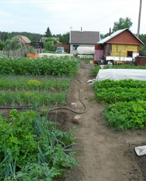 Как обустроить огород на дачном участке — варианты, как можно удобно обустроить огород своими руками (120 фото с идеями)
