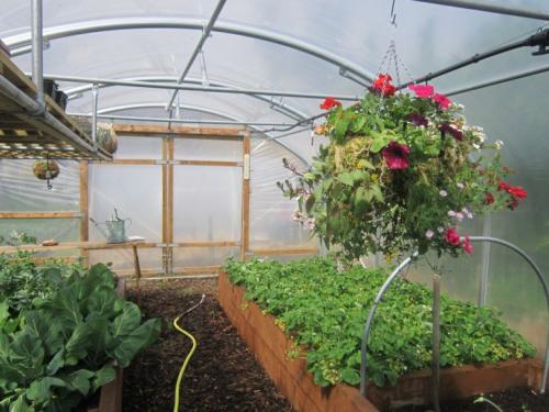 Как обустроить огород на дачном участке — варианты, как можно удобно обустроить огород своими руками (120 фото с идеями)