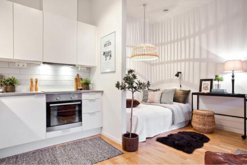 Какие конструкции и элементы интерьера можно использовать для переоборудования кухни в спальню. Кухня-спальня и кухня со спальным местом – 53 фото и гид по дизайну