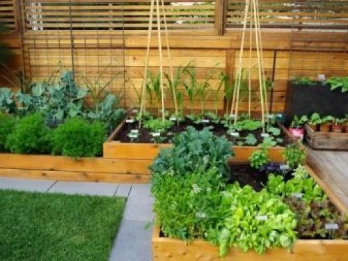 Дизайн садового участка 6 соток своими руками. Особенности 05 Дизайн садового участка 6 соток своими руками. Особенности 05