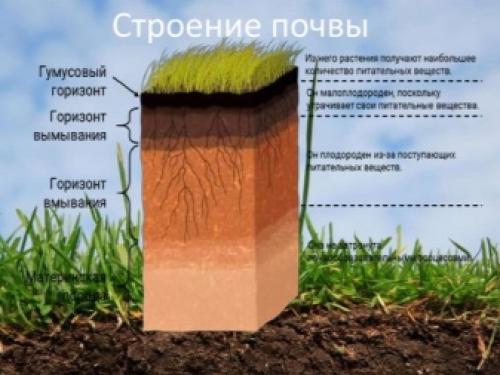 Зонирование дачного или садового участка. С чего начать? 01 Зонирование дачного или садового участка. С чего начать? 01