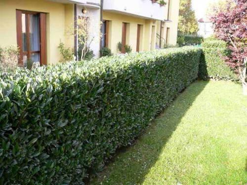 Планировка участка 10 соток. Нормы проектирования дачного дома 06