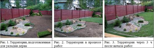 Как правильно ухаживать за газонами в разные сезоны года