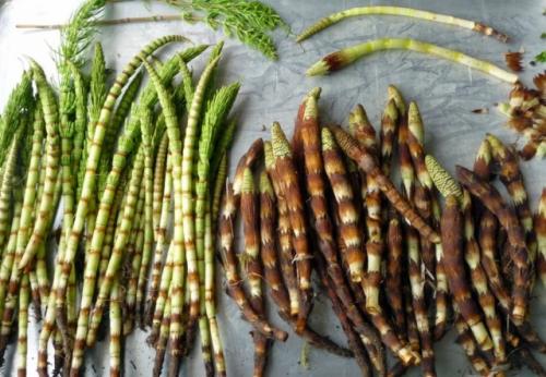 Какие трудности могут возникнуть при переходе на природное земледелие