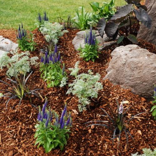 Природное земледелие на садовом участке: книга для тех, кто хочет заботиться о природе 04