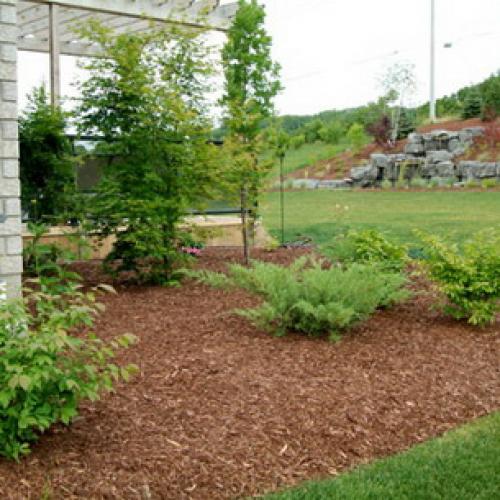 Природное земледелие на садовом участке: книга для тех, кто хочет заботиться о природе 08