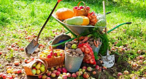 Природное земледелие на садовом участке: книга для тех, кто хочет заботиться о природе 09