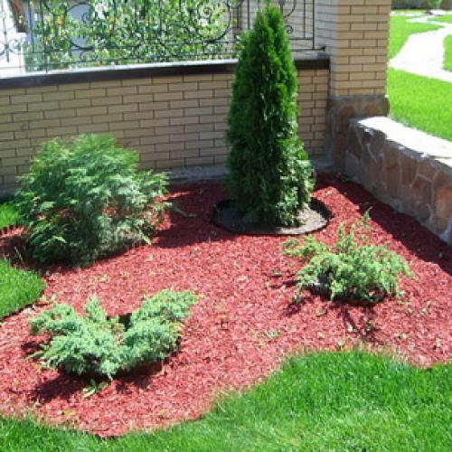 Природное земледелие на садовом участке: книга для тех, кто хочет заботиться о природе 07