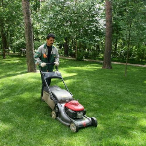 Природное земледелие на садовом участке: книга для тех, кто хочет заботиться о природе 06