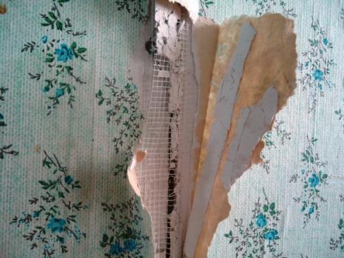 Какие проблемы могут возникнуть при уходе за обоями в прихожей. Плохо оштукатурены стены: каких ждать проблем с обоями