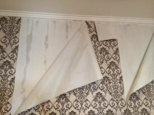 Какие проблемы могут возникнуть при уходе за обоями в прихожей. Плохо оштукатурены стены: каких ждать проблем с обоями