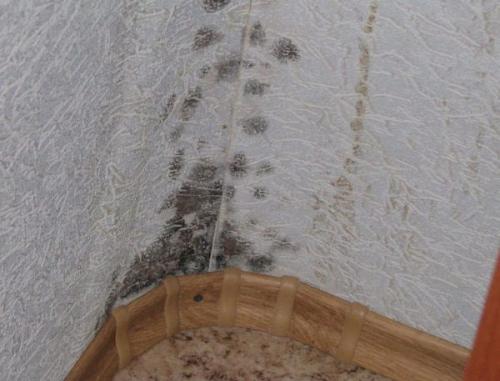 Какие проблемы могут возникнуть при уходе за обоями в прихожей. Плохо оштукатурены стены: каких ждать проблем с обоями