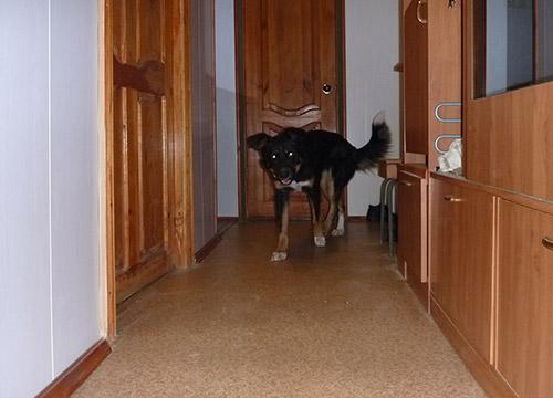 Выберите идеальный материал для отделки стен в прихожей: 8 лучших вариантов 07 Выберите идеальный материал для отделки стен в прихожей: 8 лучших вариантов 07