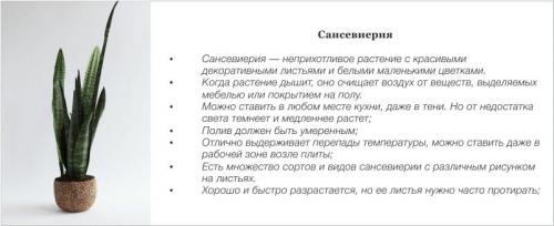 Кухонный мини-сад: от идеи до реализации 11 Кухонный мини-сад: от идеи до реализации 11