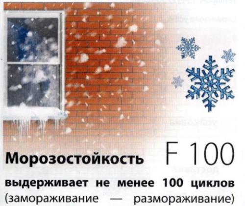 Дом из газобетона и кирпича. Дом из кирпича и газобетона: какой материал лучше выбрать для строительства?