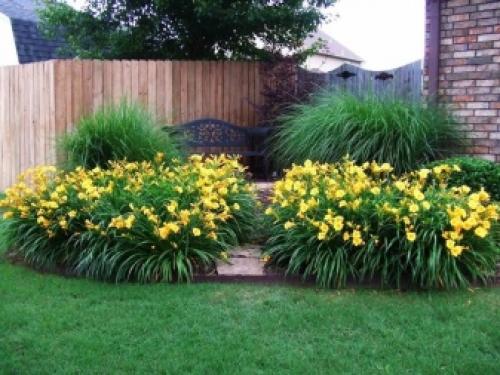 Миксбордер с лилейниками. Размещение Растений 06 Миксбордер с лилейниками. Размещение Растений 06