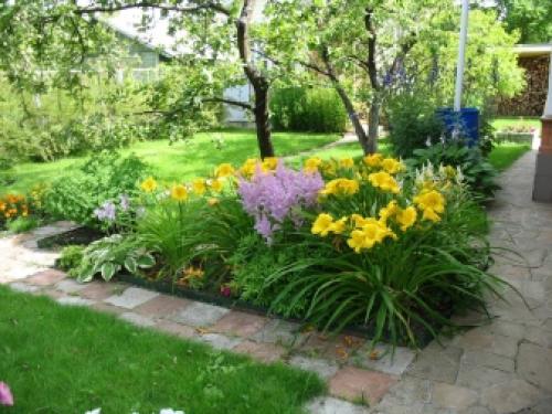 Миксбордер с лилейниками. Размещение Растений 01 Миксбордер с лилейниками. Размещение Растений 01