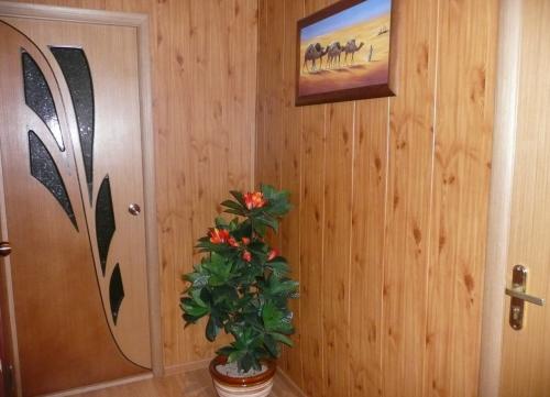 САМАЯ БЮДЖЕТНАЯ ОТДЕЛКА стен коридора: как сделать красиво и дешево 09 САМАЯ БЮДЖЕТНАЯ ОТДЕЛКА стен коридора: как сделать красиво и дешево 09