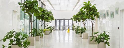 Как создать кабинет в стиле минимализм: советы и идеи 19 Как создать кабинет в стиле минимализм: советы и идеи 19