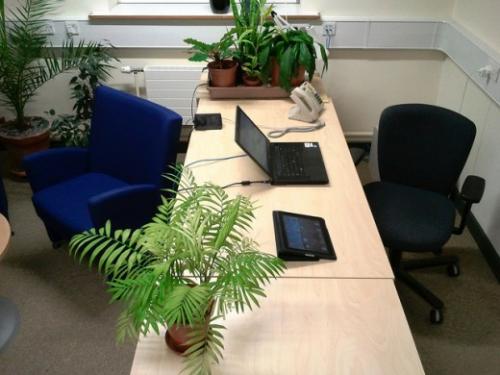 Как сделать рабочее место более комфортным без больших вложений. 5 способов улучшить свое рабочее место