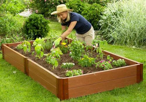 Пластиковое ограждение для грядок. Особенности пластиковых грядок