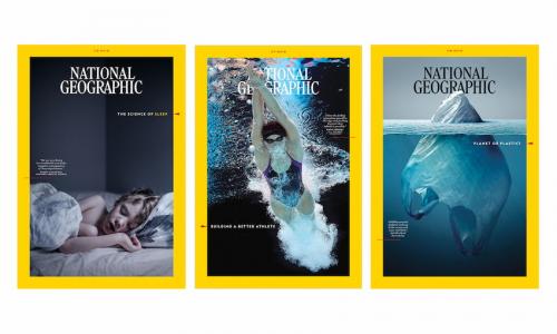 Как создать макет дизайна: основные правила композиции. Уро.  Композиция и структура дизайна