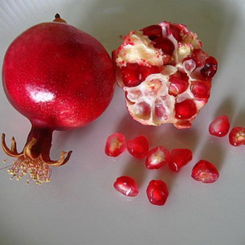 Как цветет гранат и как выглядят цветы граната. Как цветет дерево граната 10