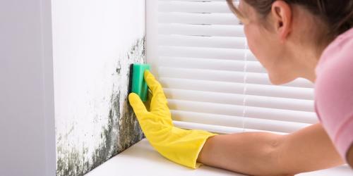 Как пеноблоки противостоят вредителям и плесени. Плесень в доме из газобетона: как бороться?