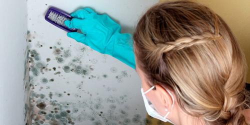 Как пеноблоки противостоят вредителям и плесени. Плесень в доме из газобетона: как бороться?