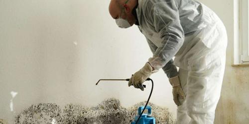 Как пеноблоки противостоят вредителям и плесени. Плесень в доме из газобетона: как бороться?