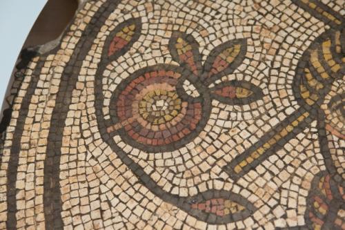 Дерево и фрукт гранат. Божественная история граната 03