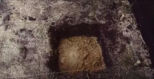 Деревянный пол в частном доме по грунту. Как делаются полы с лагами по грунту?