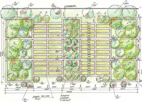Планировка сада и огорода по сторонам света. Площадь и расположение участка